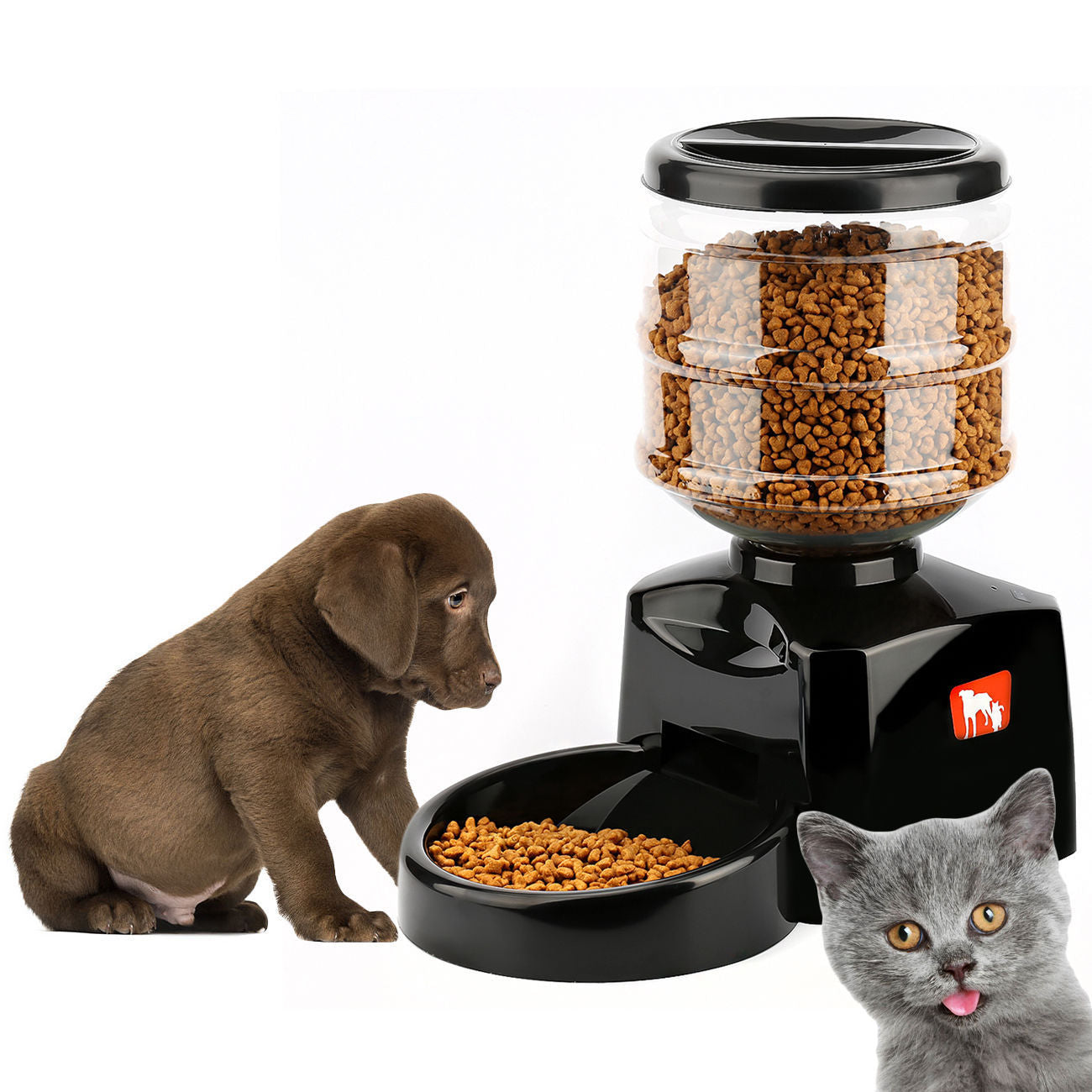 Timing Intelligent Automatic Feeder