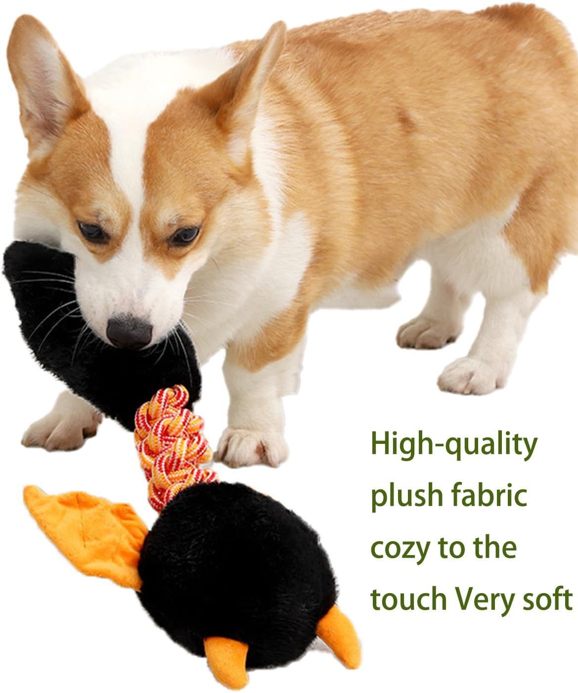 Plush Dog Toys
