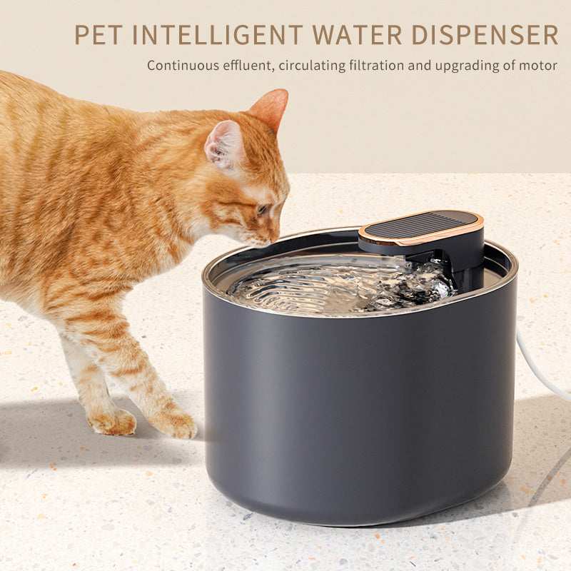 automatic water dispenser