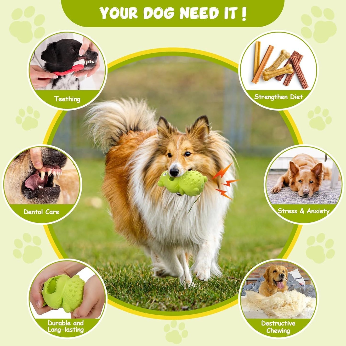 Dog Toys