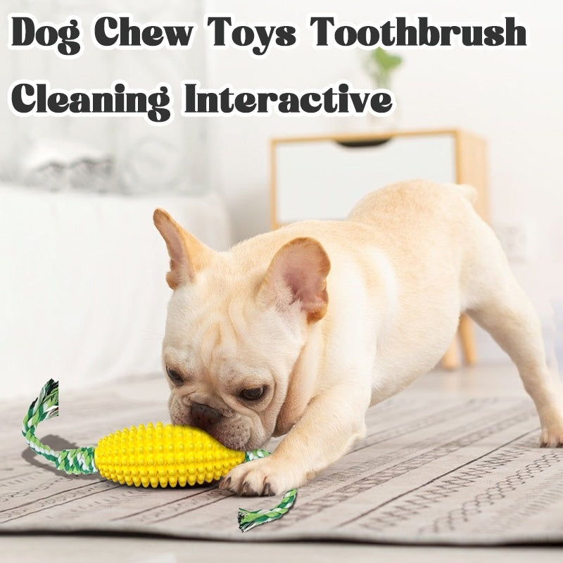 Dog Toys