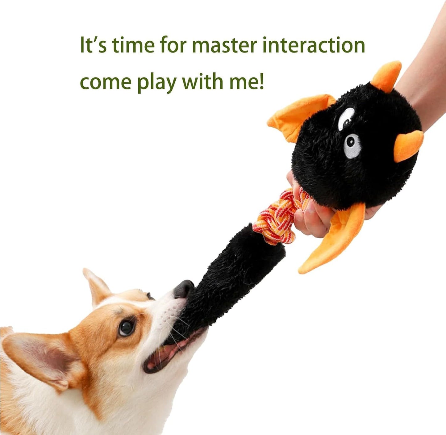 Plush Dog Toys