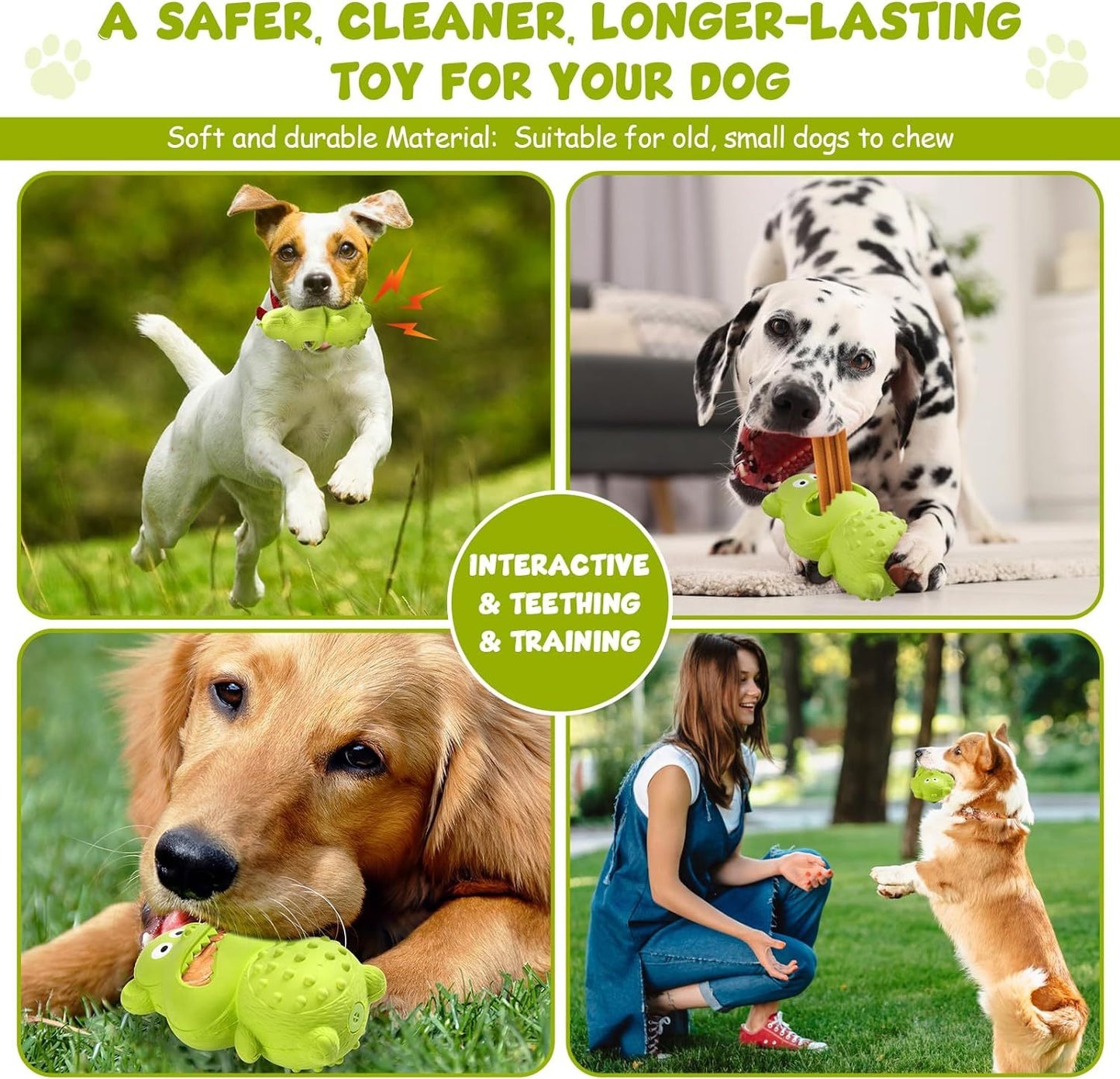 Dog Toys