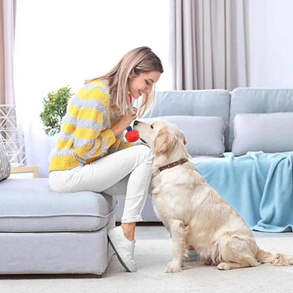 Interactive Dog Toy Ball