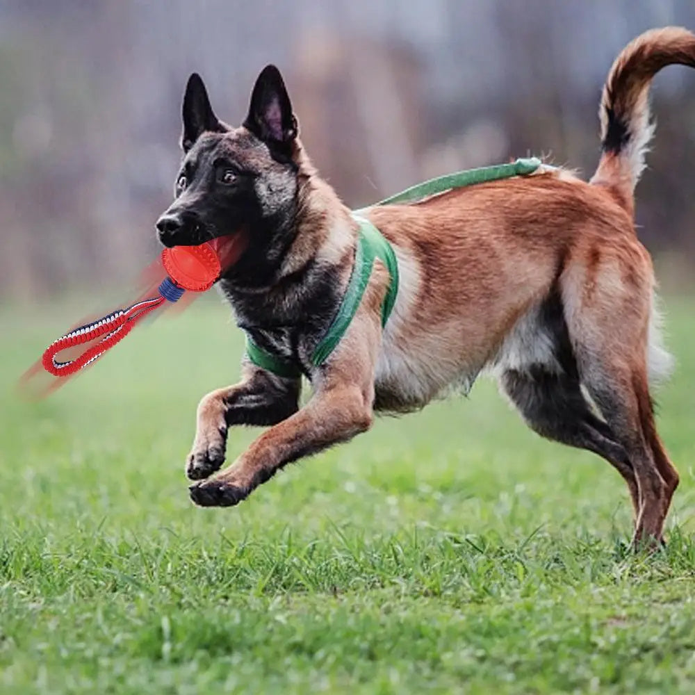 Interactive Dog Toy Ball