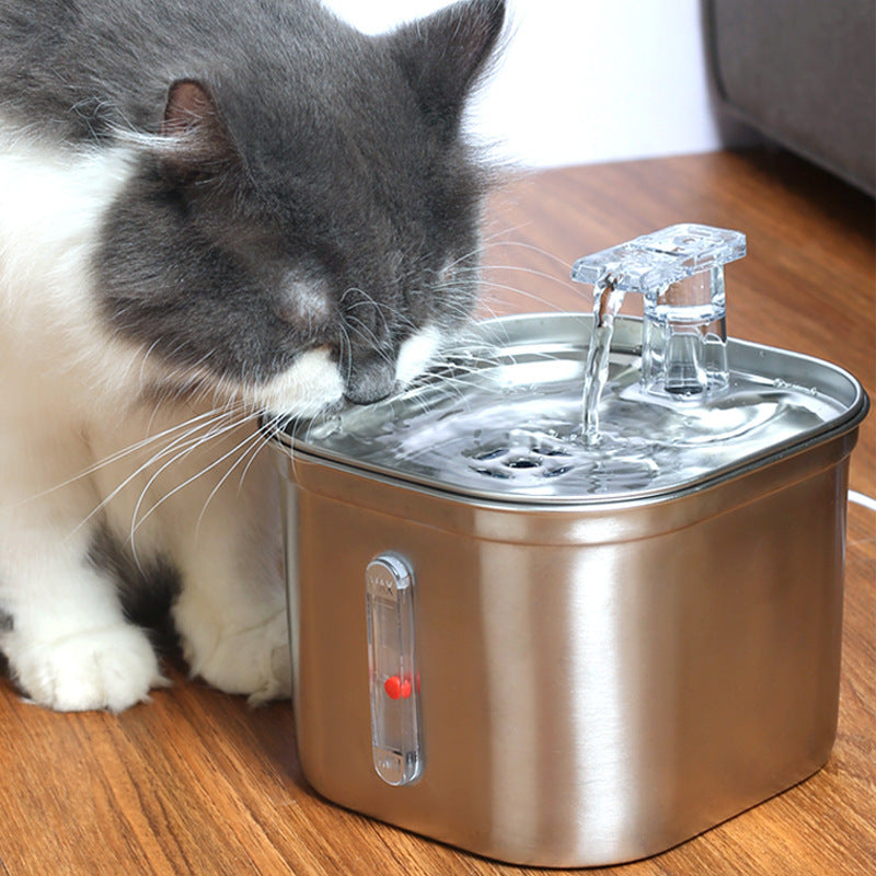 automatic water dispenser