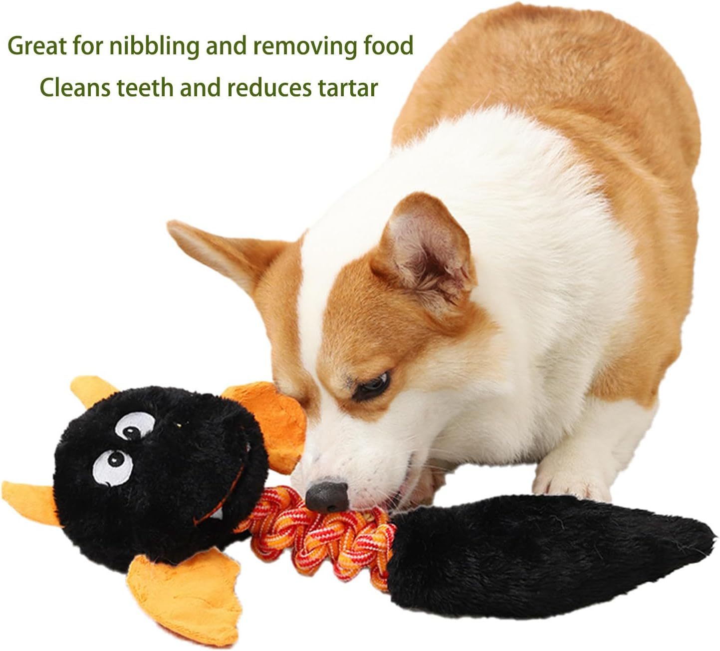 Plush Dog Toys