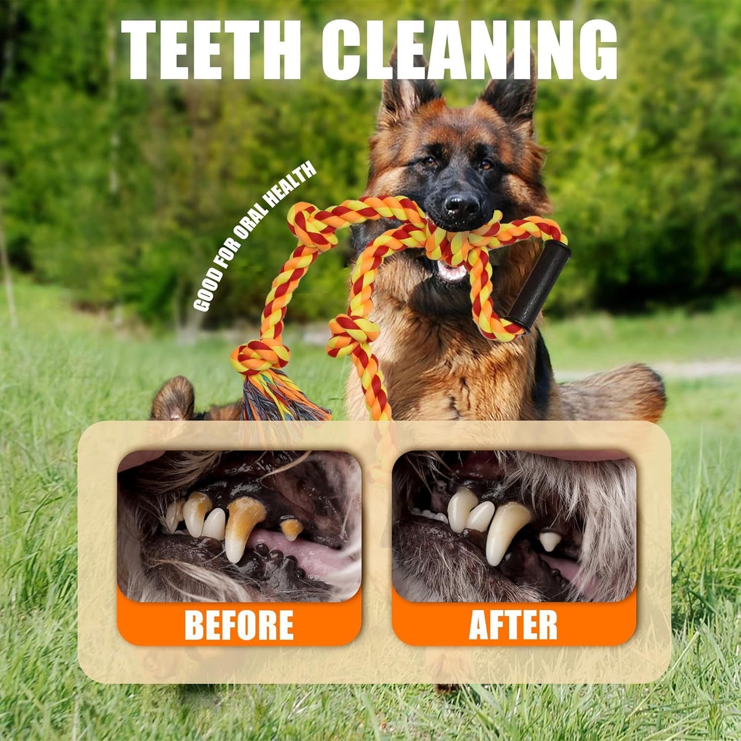 Dog Rope Toys
